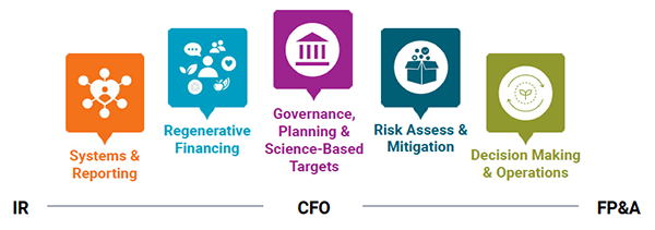 rCFO Framework graphic